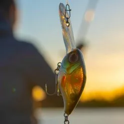 Berkley DEX Trencher Lures 5.5cm -Rods Sales Shop vzrjgsha638003860603990196