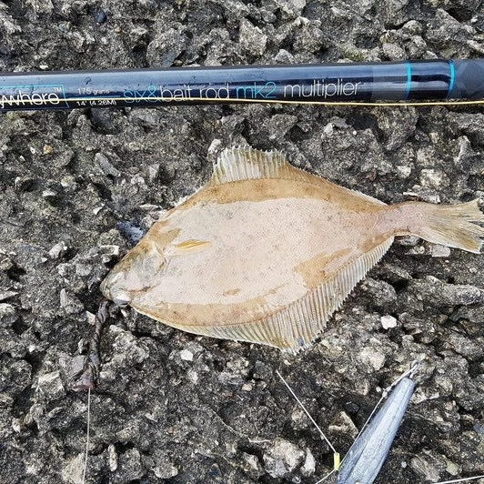 Anyfish Anywhere Six & Bait MK2 Rods 15ft 3 Anyfish Anywhere Six & Bait MK2 Rods 15ft