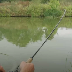 Guru Aventus Steve Ringer Light Feeder Rods -Rods Sales Shop wvyohdml637980563261790009