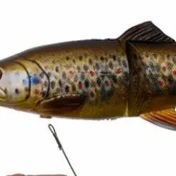 Savage 4D Line Thru Trout -Rods Sales Shop wwo12mys636352789901258575