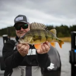 Rapala Shad Rap Elite -Rods Sales Shop xpyrerkf638125887581654345