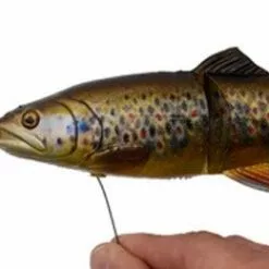 Savage 4D Line Thru Trout -Rods Sales Shop xztqruuh636352789901258575