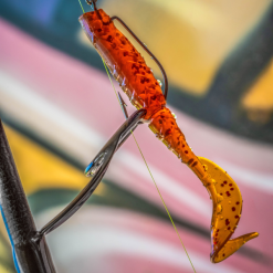 Korum Snapper Buoyant Squirlyz -Rods Sales Shop y1npa1bv637678233993688448