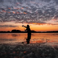 Nash X-Series Carp Rods 15 Nash X-Series Carp Rods -Rods Sales Shop y510jabu638080074910481707