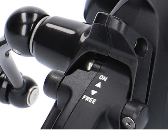 Daiwa 19 Black Widow BR LT Reels 5 Daiwa 19 Black Widow BR LT Reels - Image 3