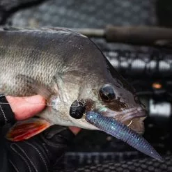 Savage Ned Kit -Rods Sales Shop zbral1fx638132681887837768