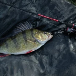 Daiwa Ninja Dropshot Rods