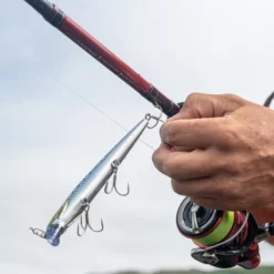 Daiwa Ninja Tele Spinning Rods -Rods Sales Shop zeqd4xrc637961664685991908