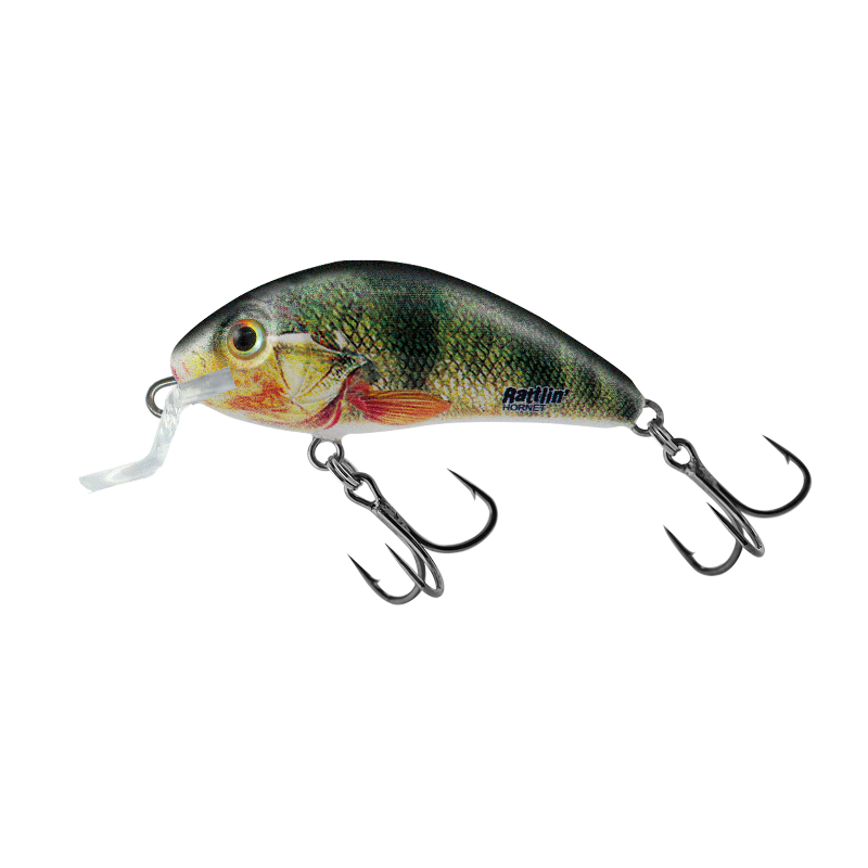 Salmo Rattlin Hornet Shallow Floating 4 Salmo Rattlin Hornet Shallow Floating - Image 2