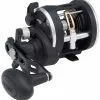 Penn Rival Level Wind Reels